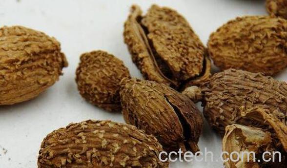 砂仁泡蜂蜜的作用与功效-0