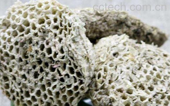 蜂房的功效与作用 蜂房的食用方法-0