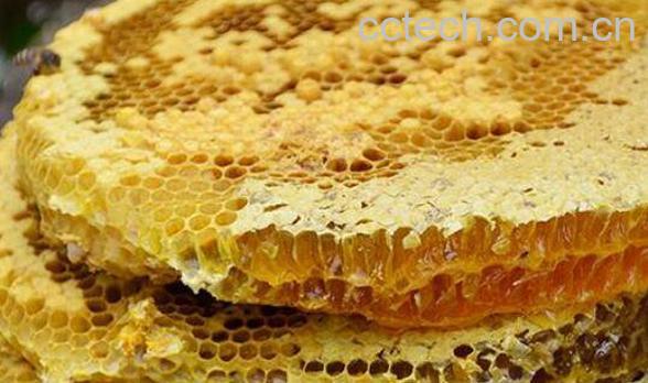  岩蜂蜜的作用与功效 岩蜂蜜是怎样形成的-0
