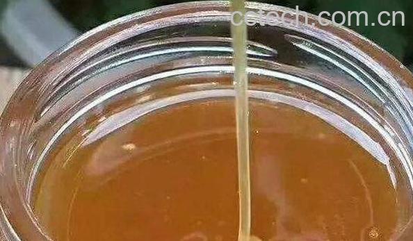 野坝子蜜的作用与功效及食用方法-0