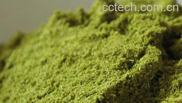 松针粉的功效与作用-1