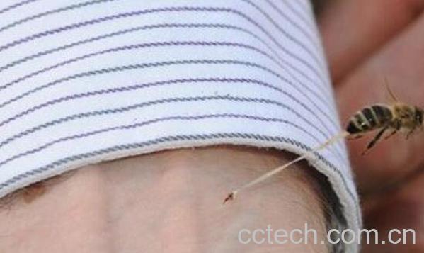 蜜蜂蛰了怎么办 被蜜蜂蛰了的简单处理方法-1