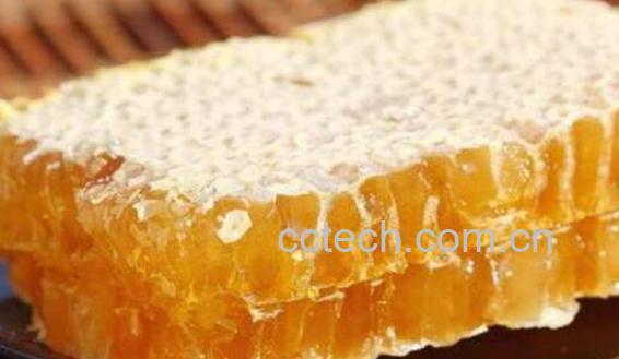 蜂窝煮水的作用与功效-0