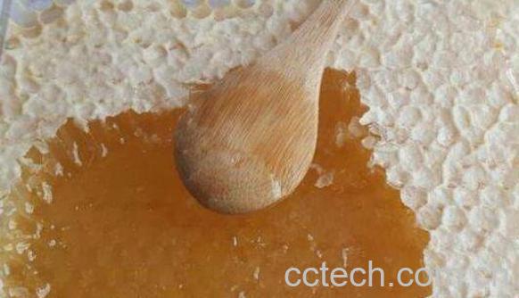 蜂窝煮水的作用与功效-1