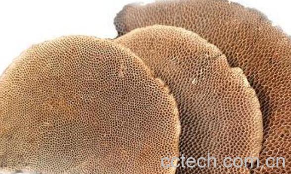 干马蜂窝的作用与功效-1