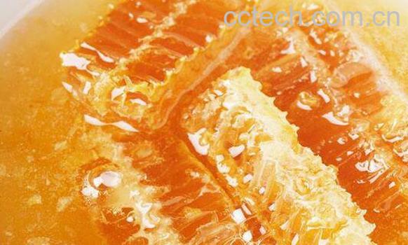  土蜂蜜的作用与功效 土蜂蜜什么时候喝最好-0