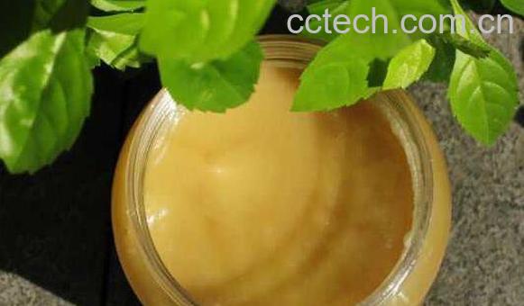 鸭脚木蜂蜜的功效与作用 鸭脚木蜂蜜的食用禁忌-0