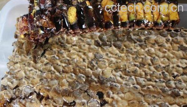 怎样鉴别黑蜂巢蜜 黑蜂巢蜜的真假辨别-0