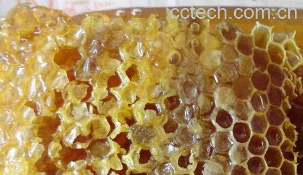 黑蜂巢蜜的作用与功效及食用方法-0