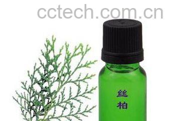 丝柏精油的功效与作用-0