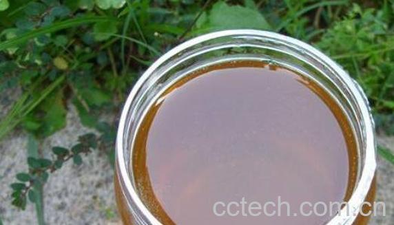 荔枝蜜的功效与作用 荔枝蜜的食用方法-0