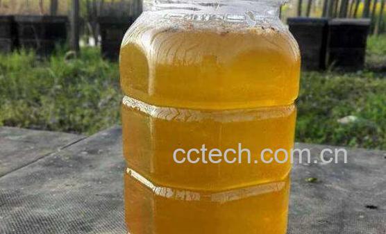 油菜花蜜的功效与作用 油菜花蜜的副作用-0