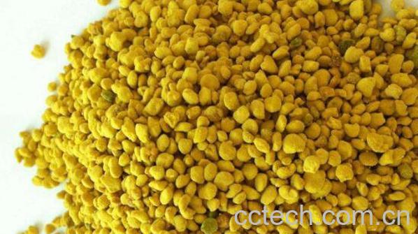 花粉怎么吃 花粉的正确食用方法-0