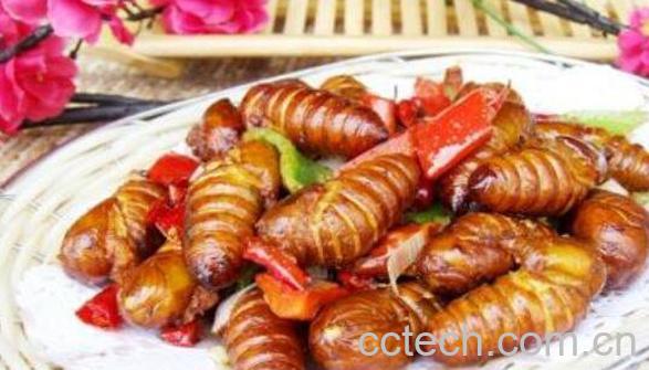 女性吃蚕蛹好处与坏处-0