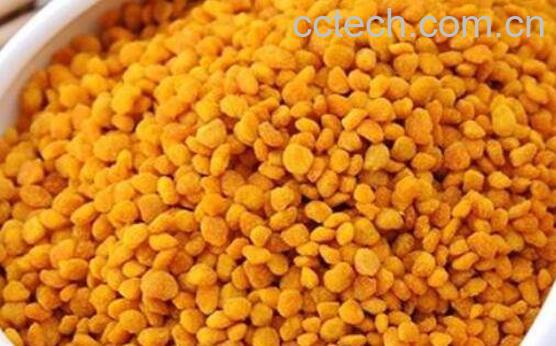 荷花粉的副作用和坏处-1