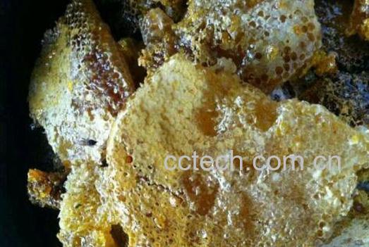 野生蜜蜂糖的功效与作用-0