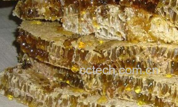 蜜蜂窝的功效与作用-1