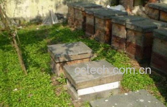 诱野生蜜蜂的最好绝招-1