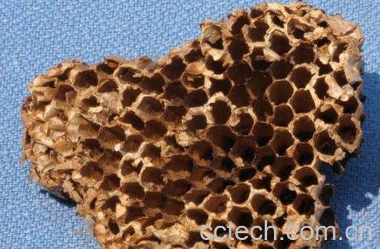 蜜蜂窝怎么吃 蜜蜂窝的食用方法-1