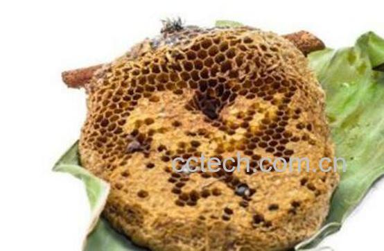 蜜蜂窝熬水能治什么病 蜜蜂窝煮水的作用-1