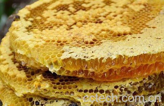 岩蜜的功效与作用-0