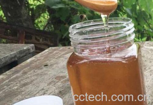 荆花蜜的功效与作用-0