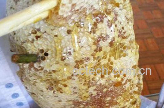 什么是野蜜 野蜜的功效与作用-0