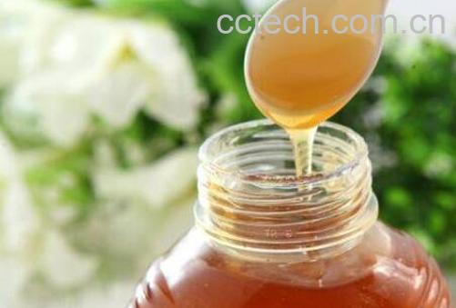 人参蜜的功效与作用有哪些-1