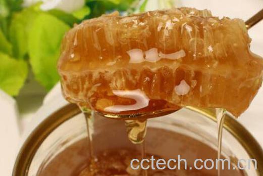 土蜂蜜的功效与正确的食用方法-0