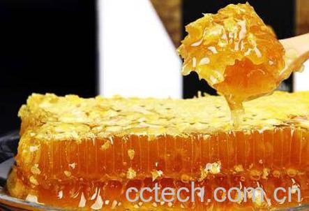 蜂巢不适合哪些人吃 吃蜂巢的禁忌-1