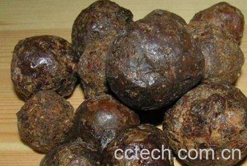 蜂胶胶囊如何吃 蜂胶的食用方法-1