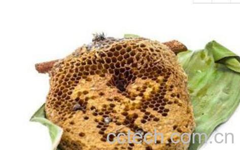 蜂房的功效与作用及药用价值-1