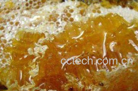 土蜂蜜和洋槐蜜哪个好-0