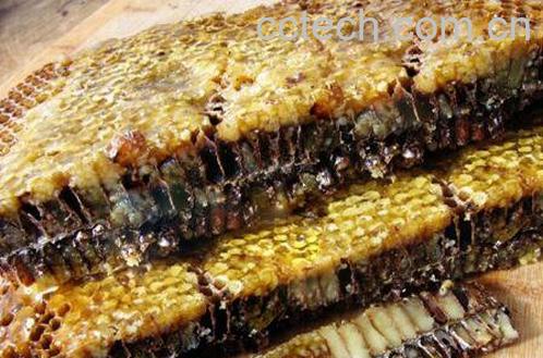 黑蜂巢蜜的作用与功效-1