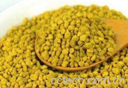 蜂花粉的成分有哪些 蜂花粉的营养价值-1