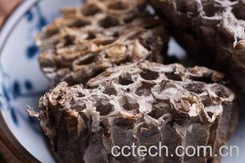 露蜂房的功效与作用及药用价值-1