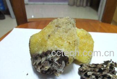 真正的野生石蜜图片 石蜜的功效与作用-0