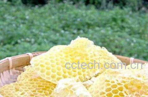 蜂房有毒吗 蜂房泡酒有什么功效-0