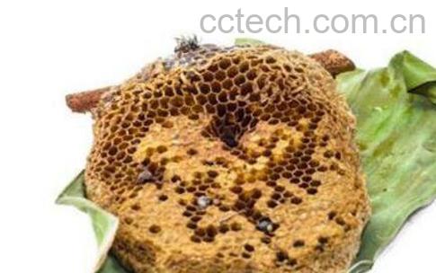 蜂房的功效与作用 吃蜂房的好处-0