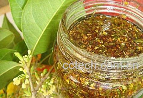  桂花蜜如何做好吃 桂花蜜的做法技巧-0