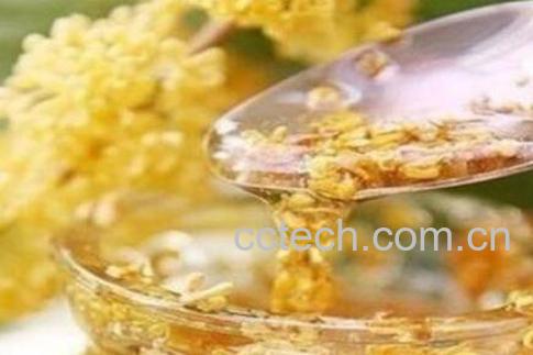 桂花蜜的功效与作用 喝桂花蜜的好处-1