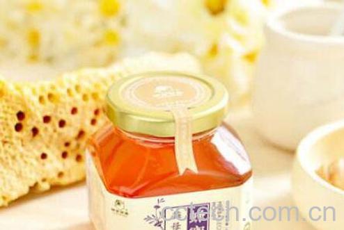 益母草蜜的功效与作用-1