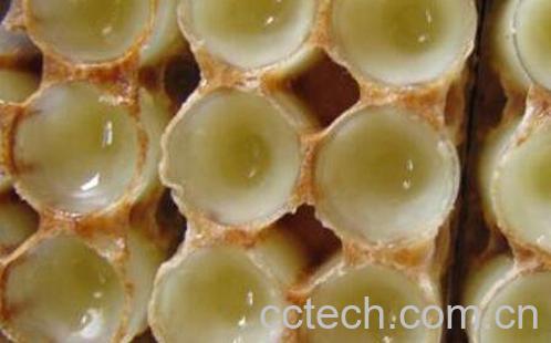 洋槐浆的功效与作用-0