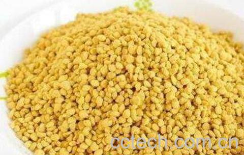 油菜花粉的功效与作用及禁忌-0