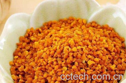 玉米花粉的功效与作用-1