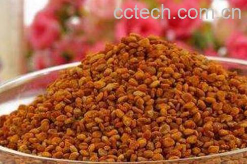 茶花粉的功效与作用及禁忌-0