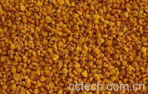 茶花粉的功效与作用及禁忌-1