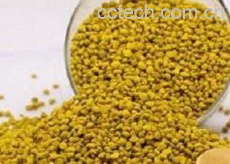 枸杞花粉的功效与作用-0