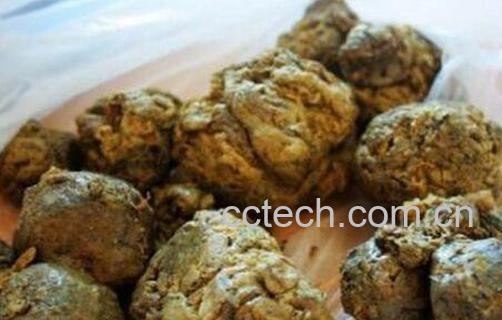 中华本草中蜂胶的八大功效-0