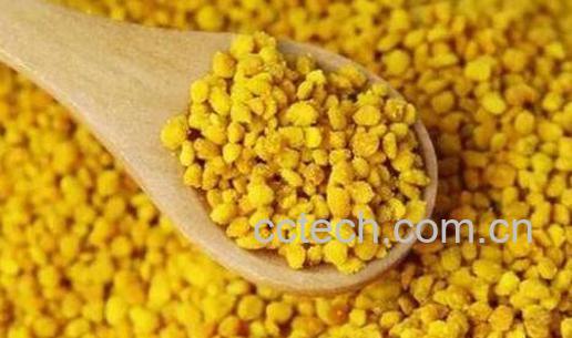 花粉的功效与作用及食用方法-0